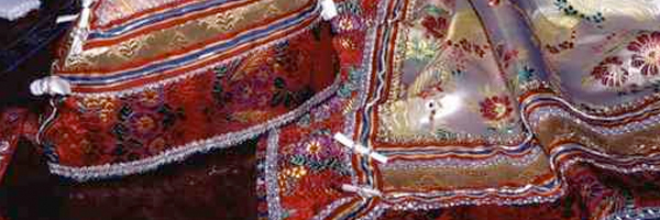 Sfilata in Costume Sfilata in Costume