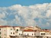 Immagine alghero