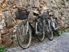 Immagine alghero