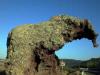 Immagine castelsardo