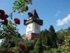 Immagine graz